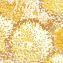 13534-42 Tapetai
