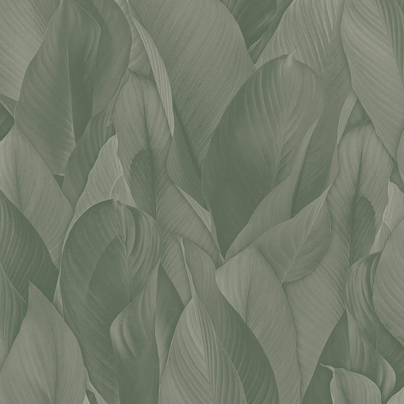 Z57705 Wallpaper