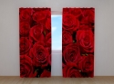 Photo curtains Rose 2
