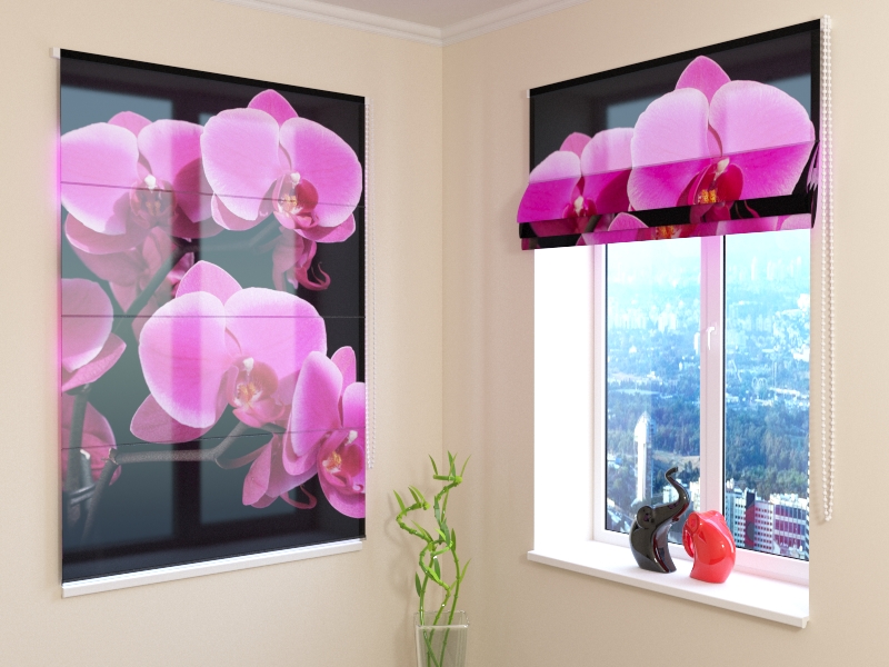 Romėnų žaliuzės Orchidėjos šakelė 