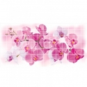 PVC plokštė TP10018768 Rosea orchidėja 