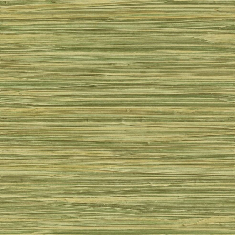 478730 Tapetai (TV)