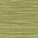 478730 Tapetai (TV)