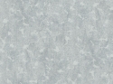 Z10911 Tapetai