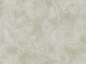 Z10922-1 Tapetai