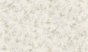 29028 Tapetai