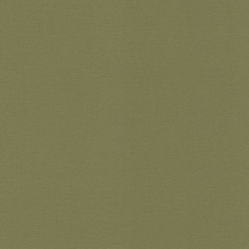 452068 Tapetai