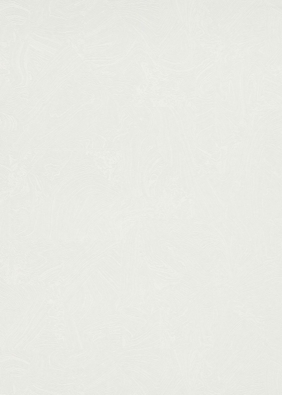 10358-31 Tapetai