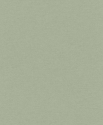 600285 Tapetai
