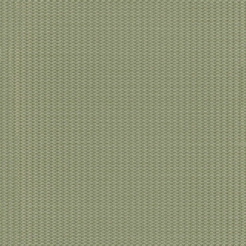 Z12842 Tapetai