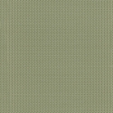 Z12842 Tapetai