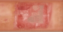 477658 Dekoratyvinis tapetų kraštelis