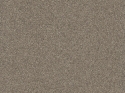 Z21137 Tapetai
