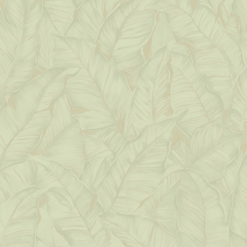 Z30309 Wallpaper
