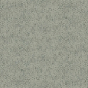Z47826 Tapetai