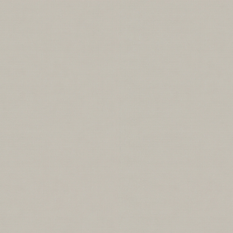 Z54512 Wallpaper