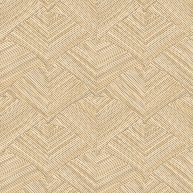 Z48405 Wallpaper
