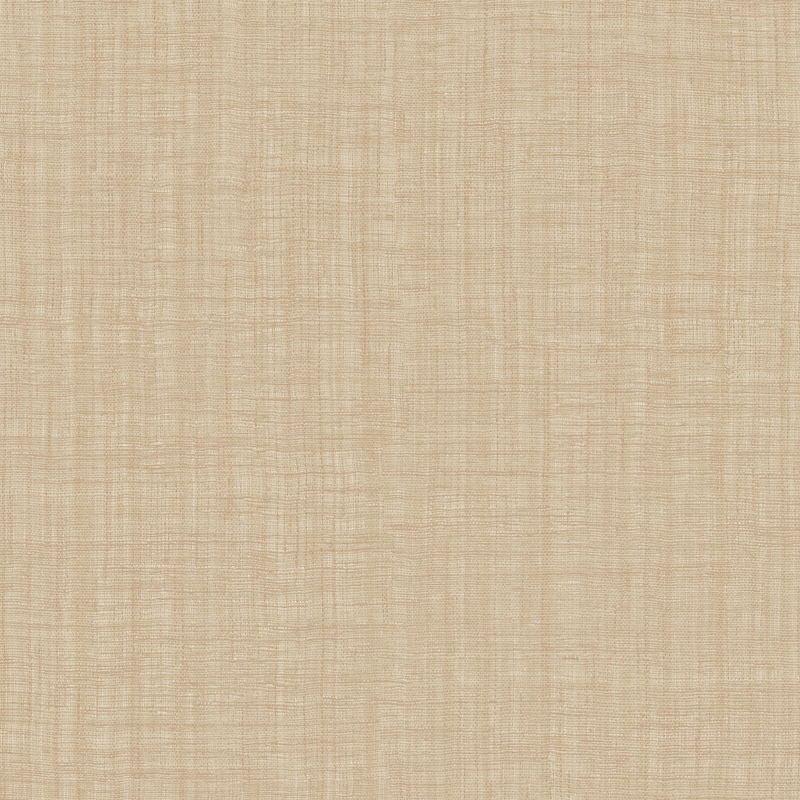 Z48424 Wallpaper